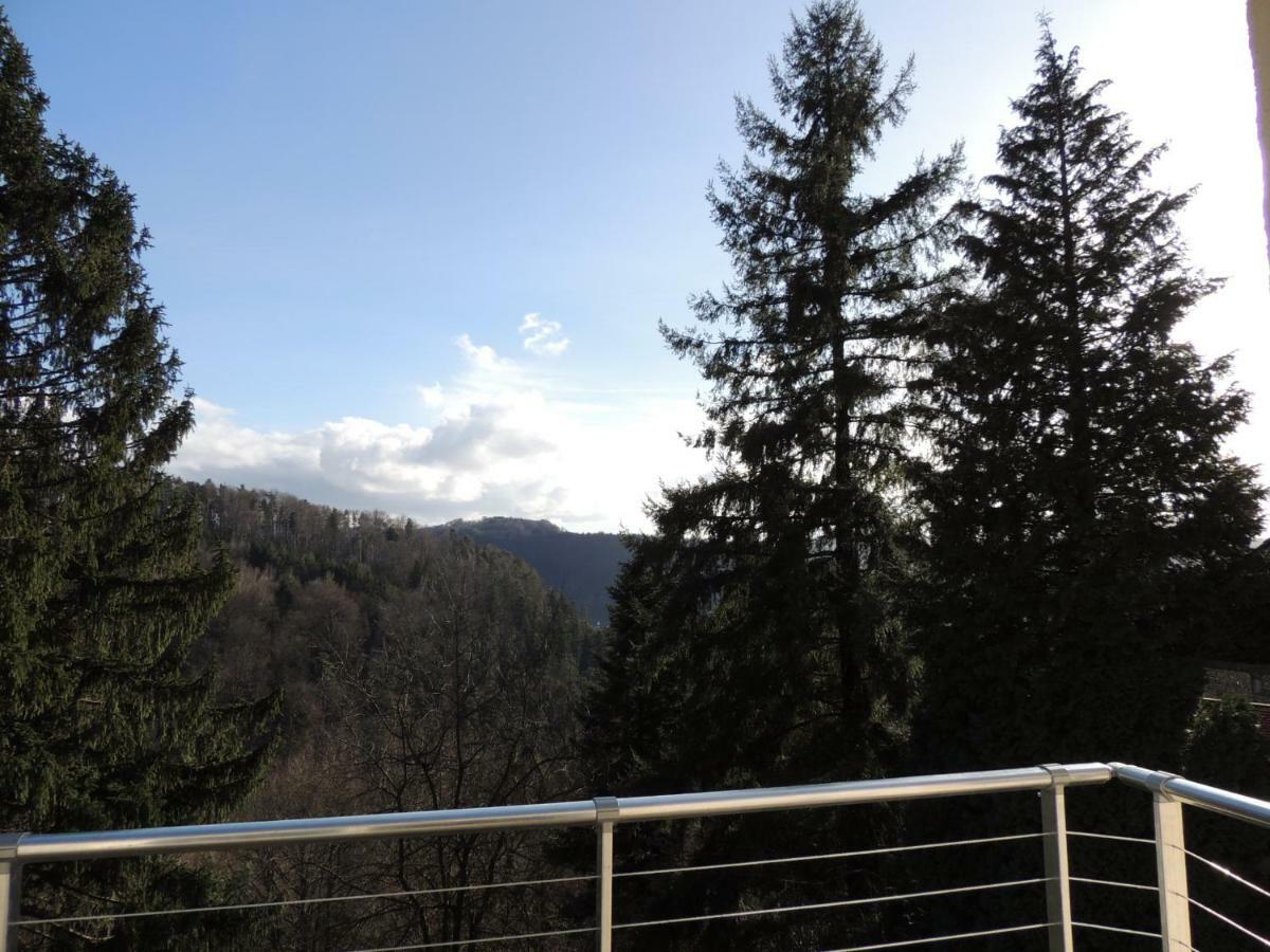 Gite Esperanza Spa Et Sauna Haselbourg Exterior foto